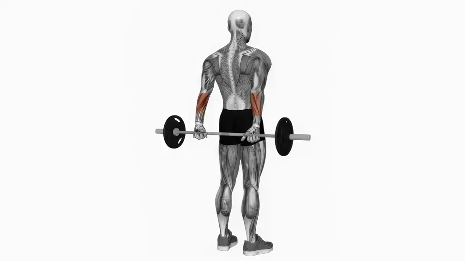 Barbell Behind the Back Wrist Curl