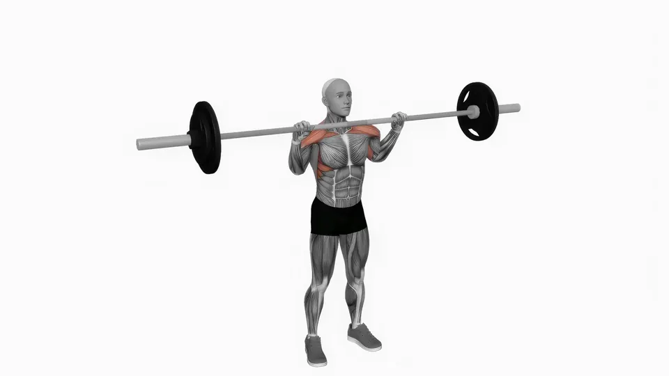 Barbell Overhead Press