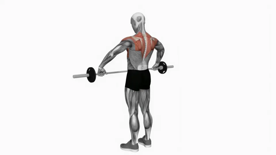 Wide Grip Barbell Upright Row