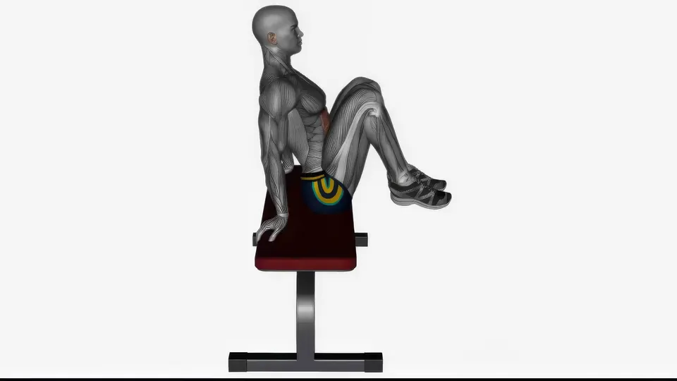 Bench Knee Tuck