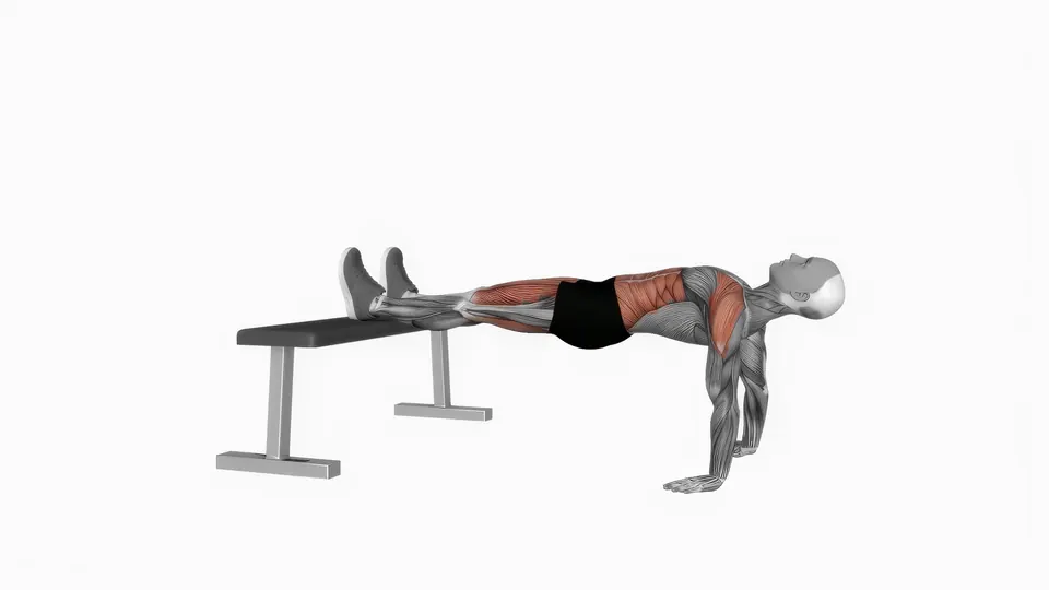 Bench Reverse Plank