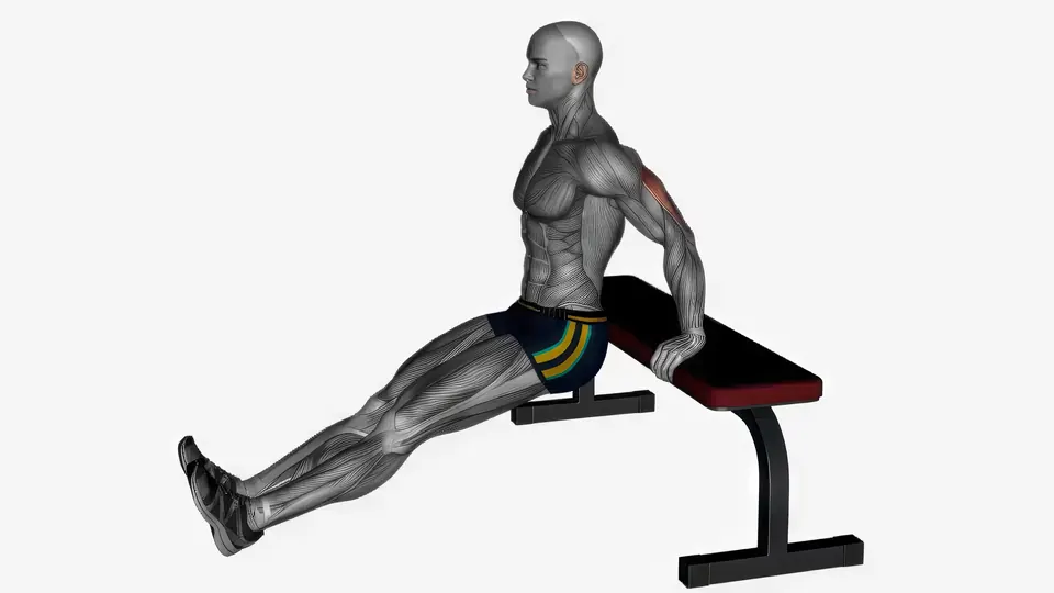 Bench Dip with Leg Curl