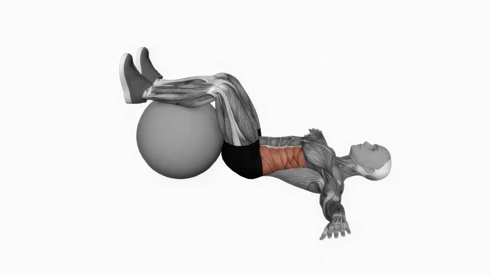 Stability Ball Bent Knee Lying Twist