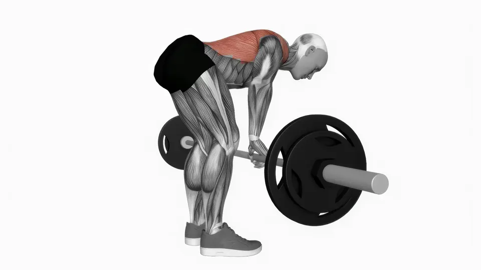 Wide Grip Barbell Row