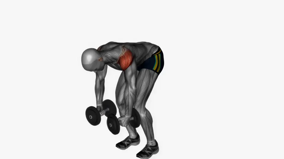 Dumbbell Rear Delt Flye