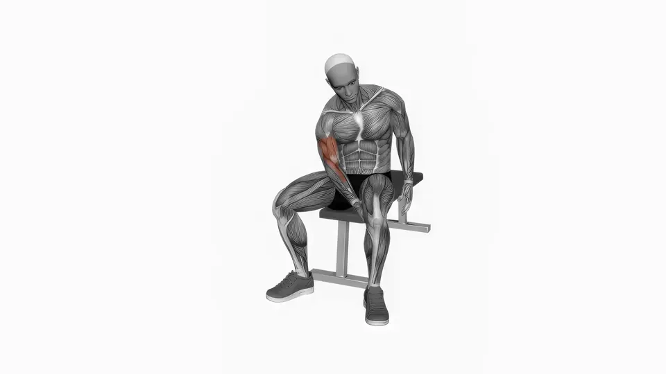 Leg Resisted Biceps Curl