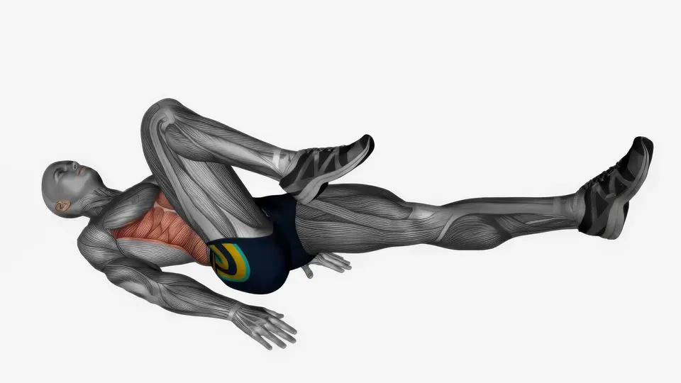 Lying Leg Cycles