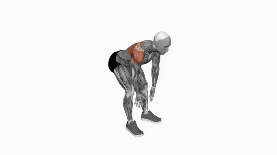 Bodyweight Rear Delt Flye