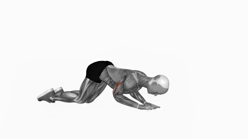 Kneeling Bodyweight Triceps Extension