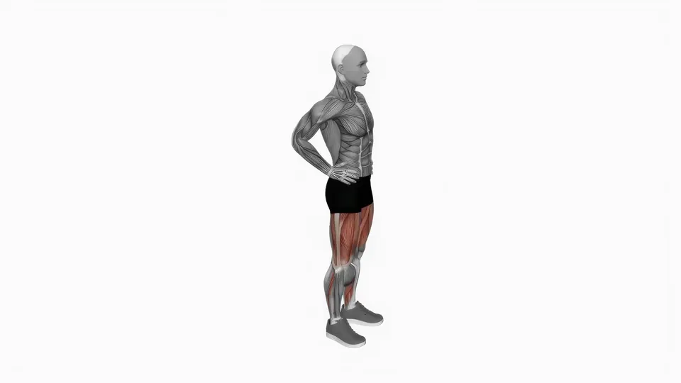 Bodyweight Reverse Lunge