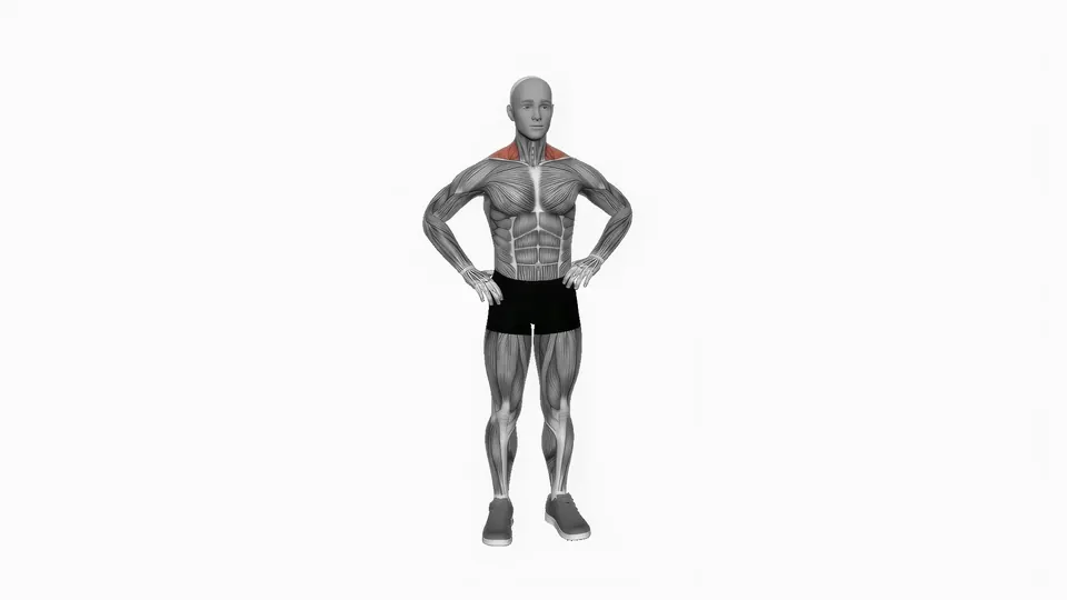Bodyweight Shrug