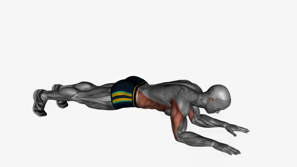 Bodyweight Triceps Extension