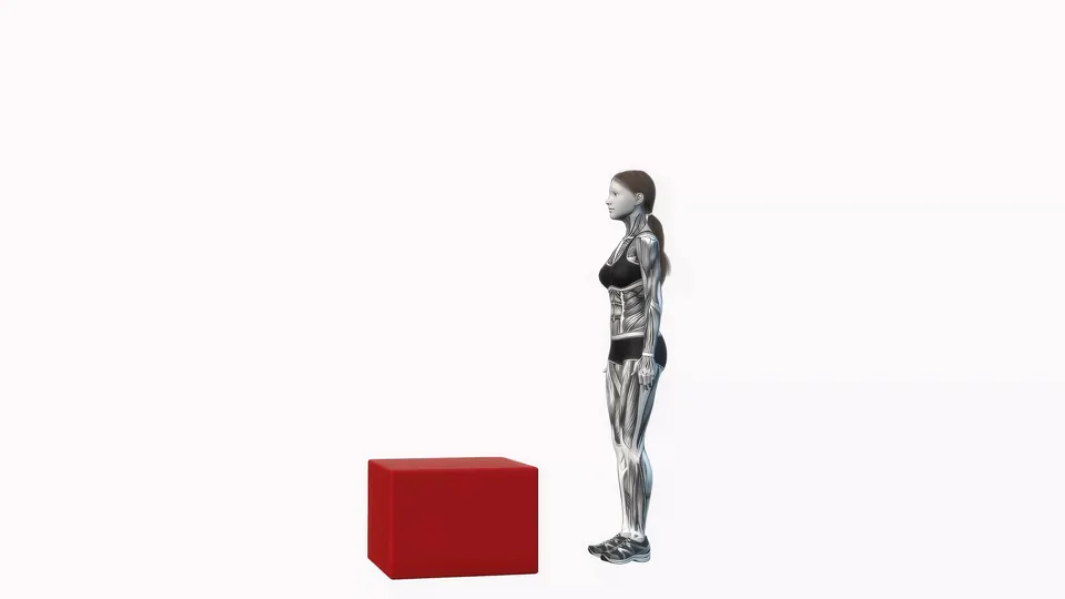 Box Jump
