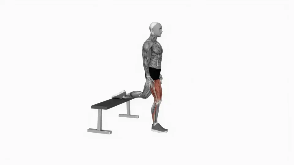 Bulgarian Split Squat