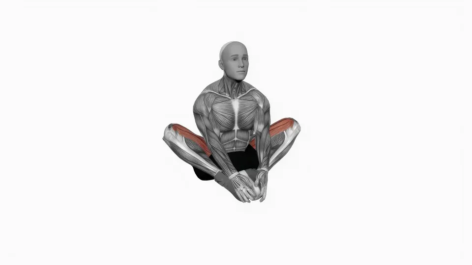 Butterfly Stretch
