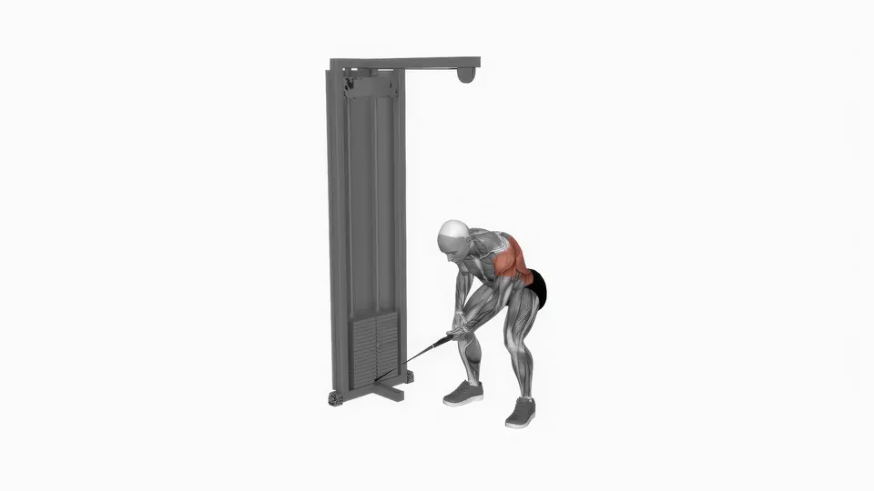 Single Arm Bent Over Cable Rear Delt Flye