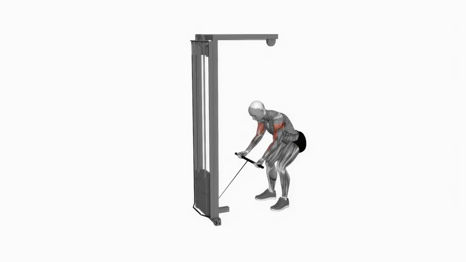 Cable Bent Over Row