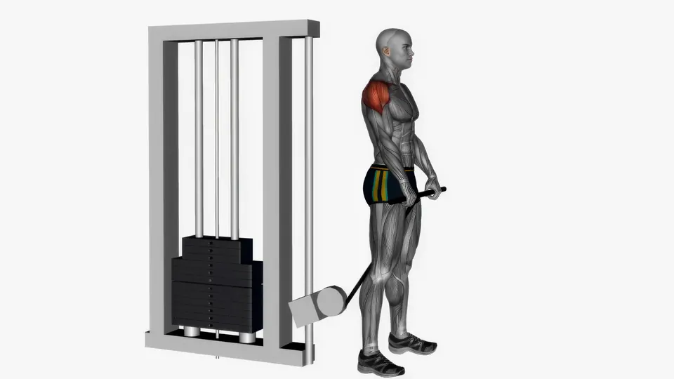 Cable Front Raise