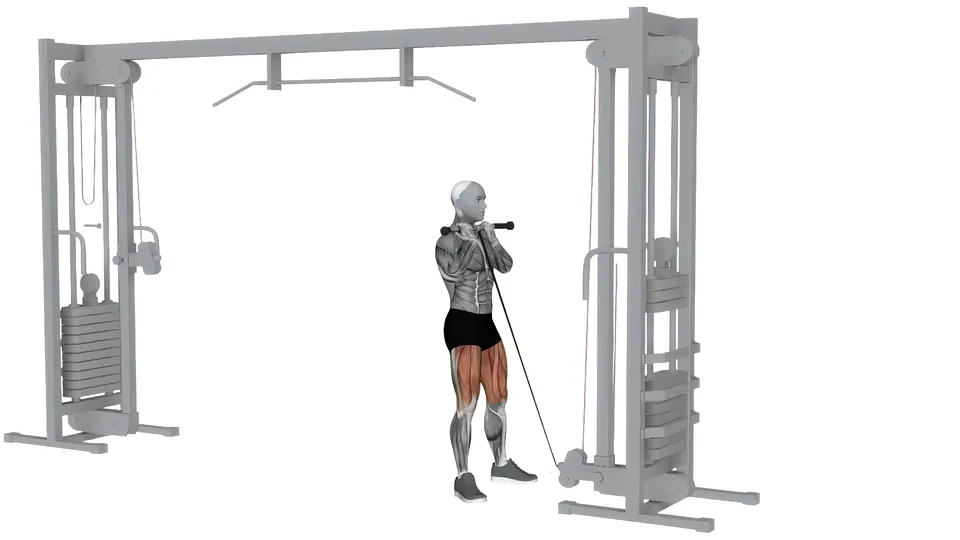 Cable Squat