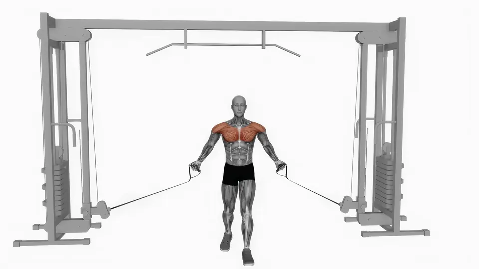Standing Low Cable Crossover