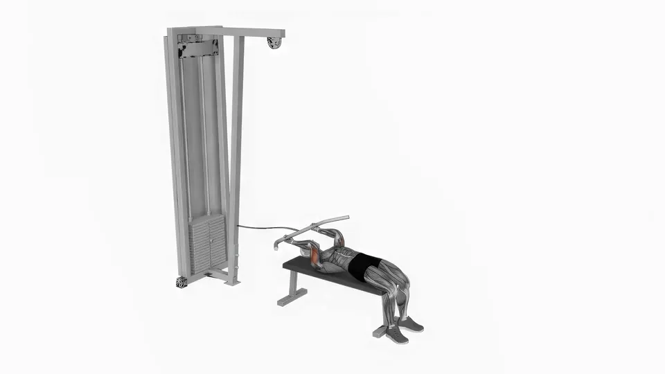 Cable Skull Crusher