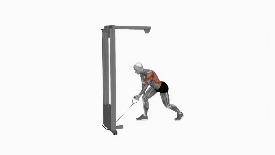 Single Arm Cable Bent Over Row