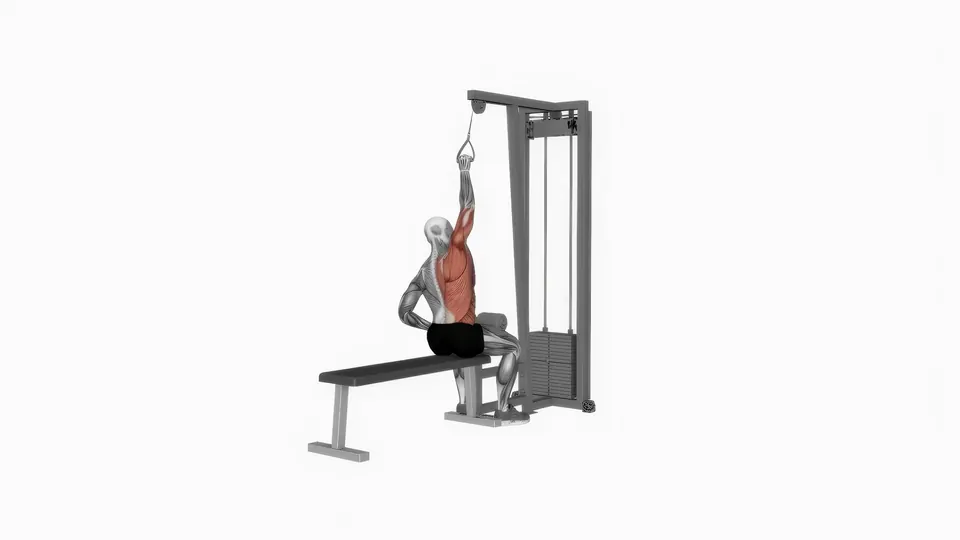 Single Arm Lat Pulldown