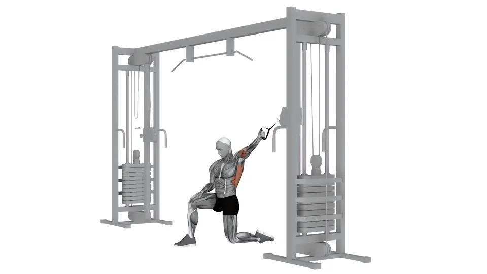 Single Arm Half Kneeling Cable Lat Pulldown