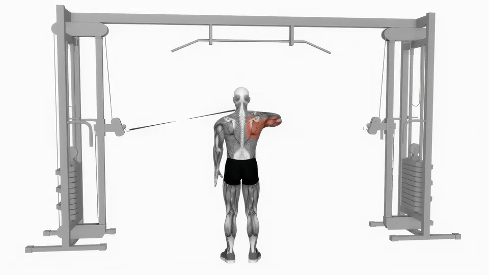Cable Bent Arm Rear Delt Flye
