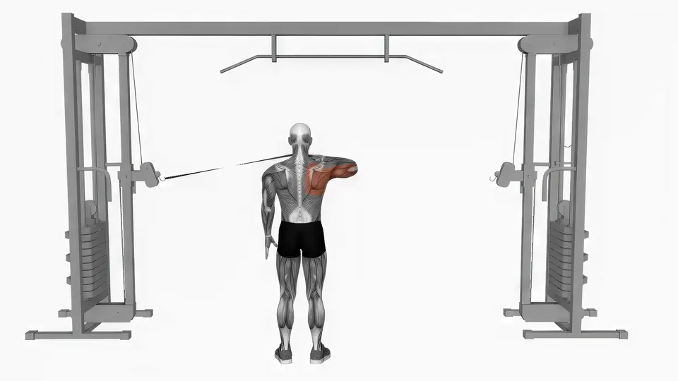 Cable Rear Delt Drive