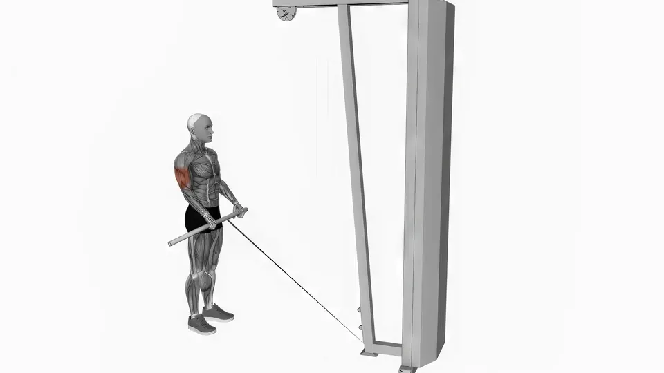 Cable Reverse Curl