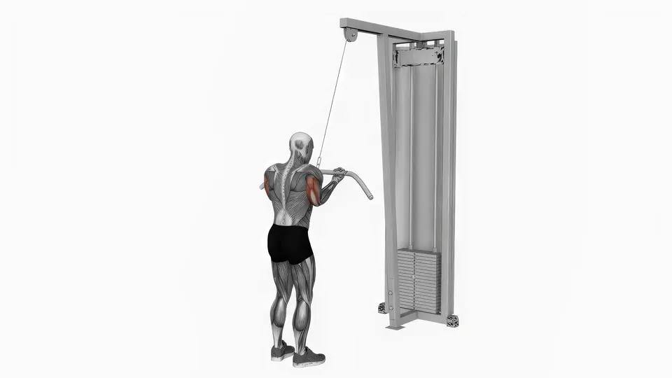 Triceps Pushdown (Reverse Grip)