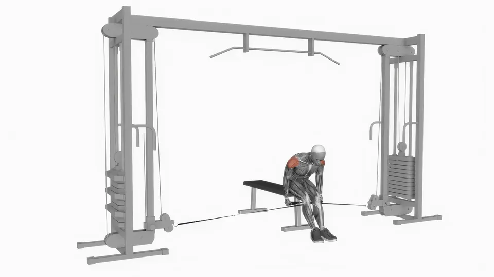 Seated Cable Rear Delt Raise