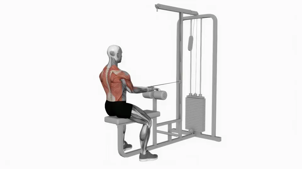 Seated Cable Row (Reverse Grip)