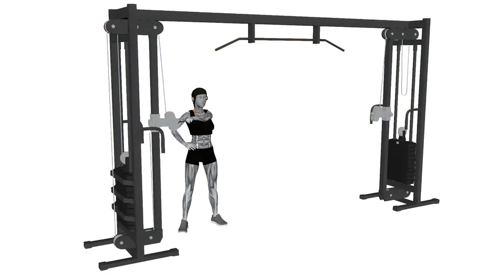 Cable Rear Delt Flye