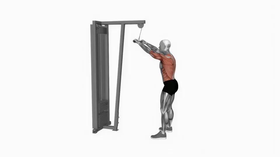 Cable Straight Arm Pulldown
