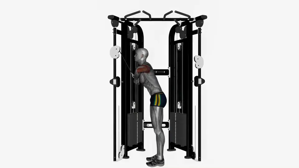 Elbows Out Triceps Pushdown