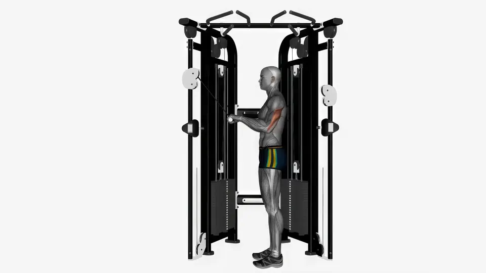 Triceps Pushdown (Bar)