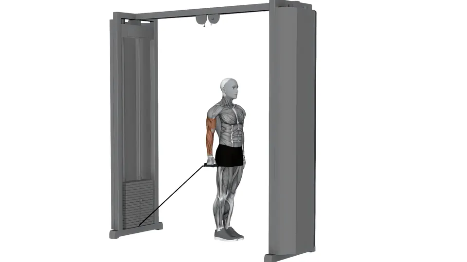 Single-Arm Cable Cross-Body Curl