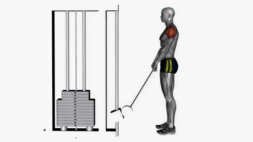 Cable Upright Row