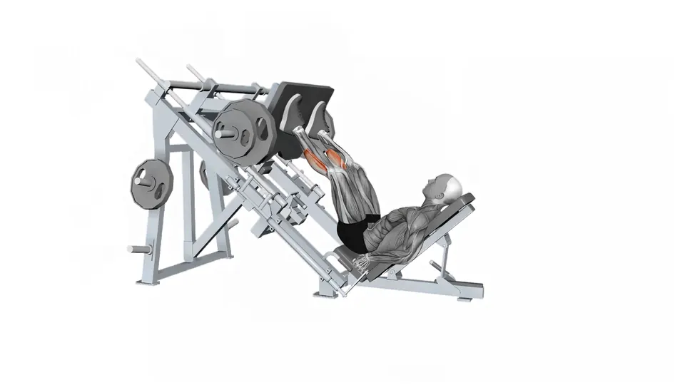 Leg Press Calf Raise