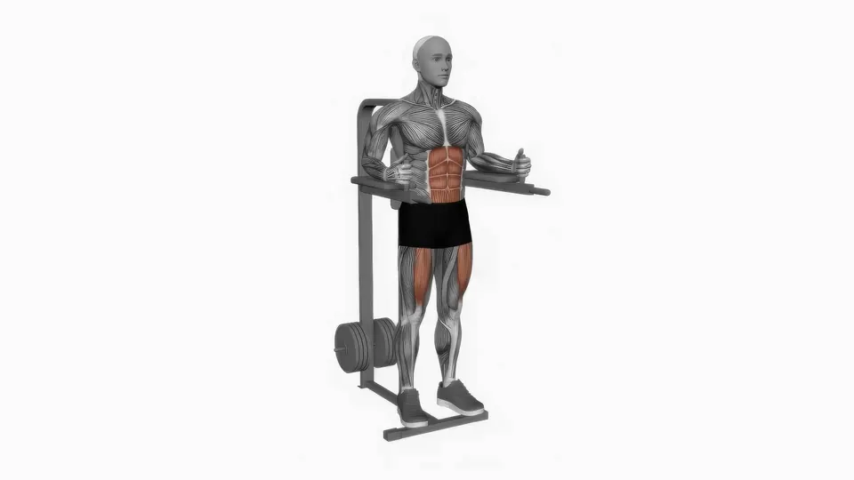 Captain's Chair Knee Raise