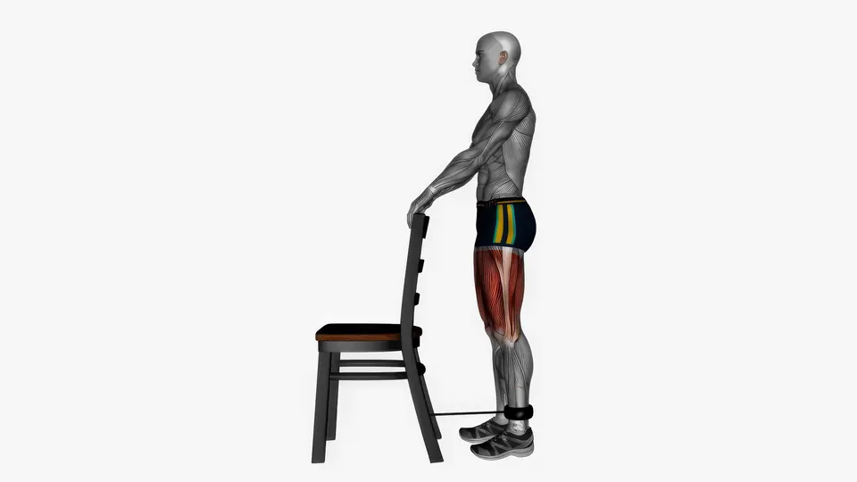Chair Supported Resistance Band Reverse Lunge