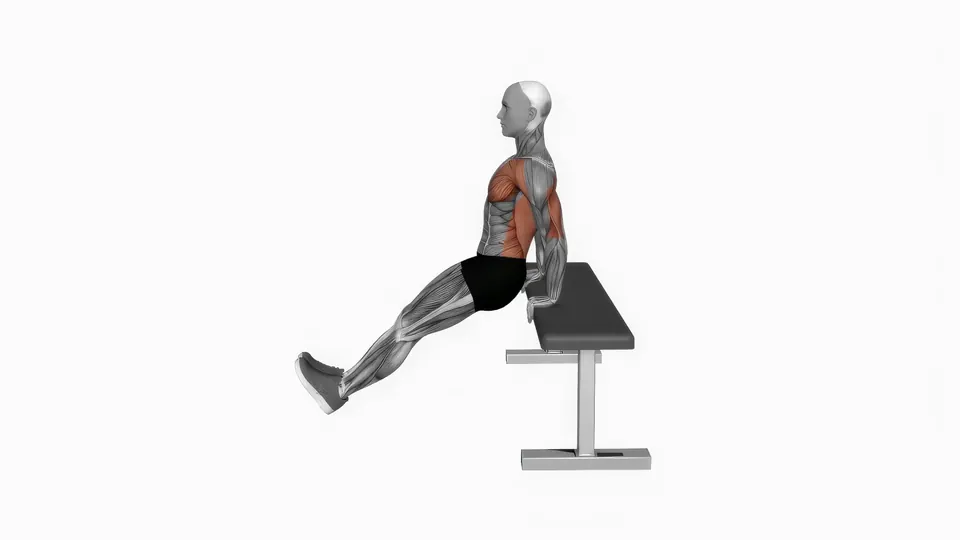 Bench Dip