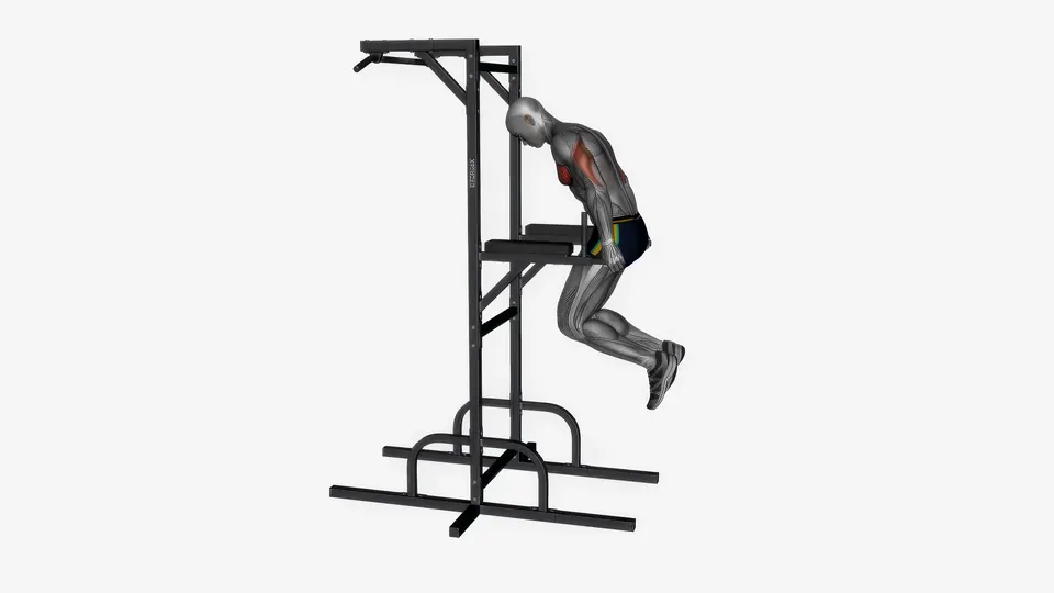Chest Dip