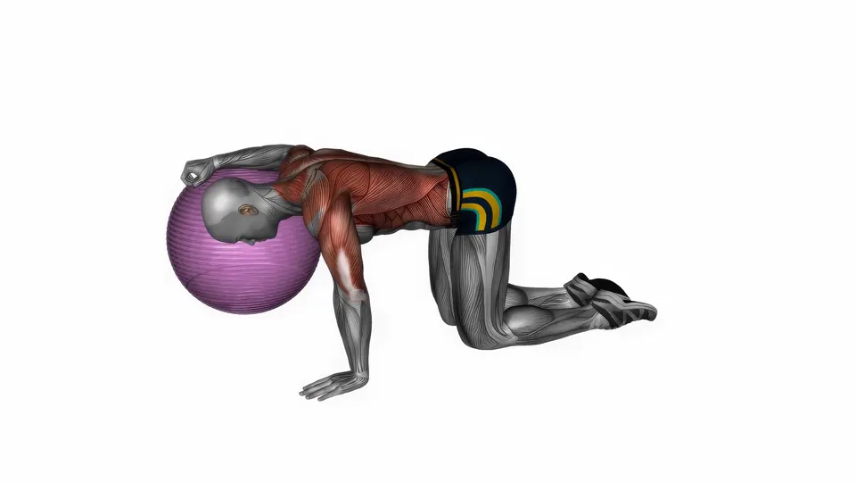 Kneeling Stability Ball Chest Stretch