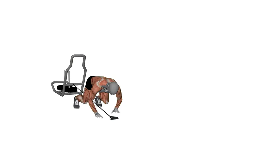 Crawling Sled Drag