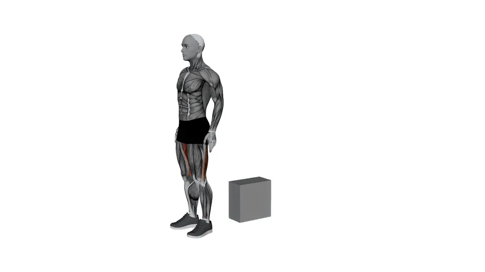 Half Kneeling Quad Stretch