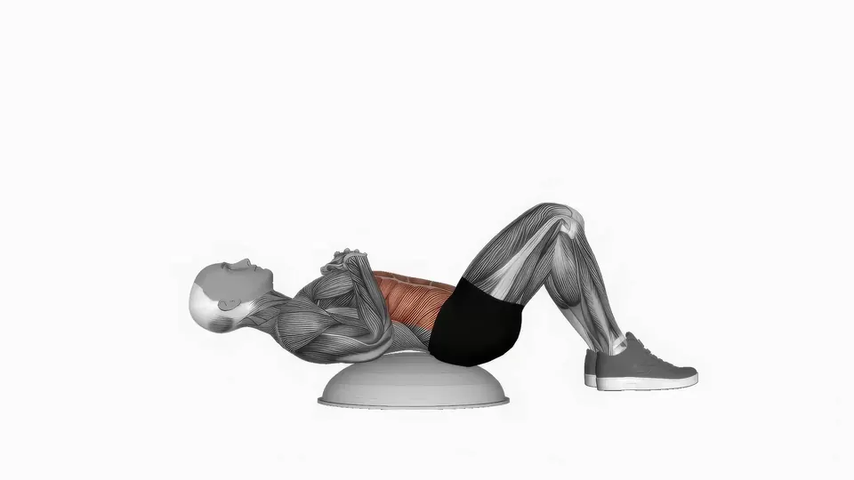 Balance Trainer Sit-Up