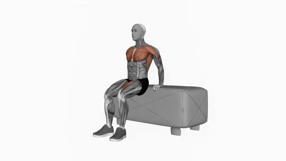 Bench Dip with Knee Raise